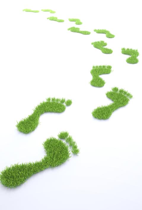 Gr&uuml;ne Fu&szlig;spuren