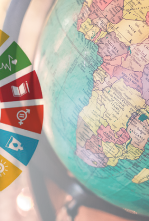 A Foreign Policy Perspective On The Sustainable Development Goals