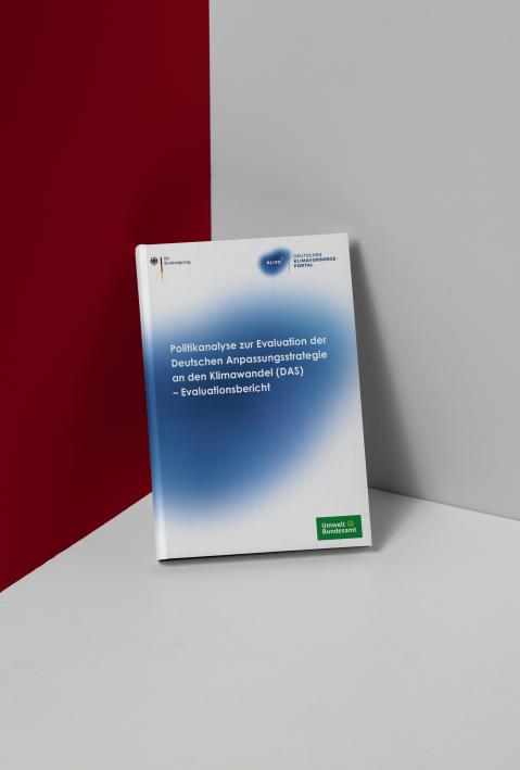 Abbildung Publikation