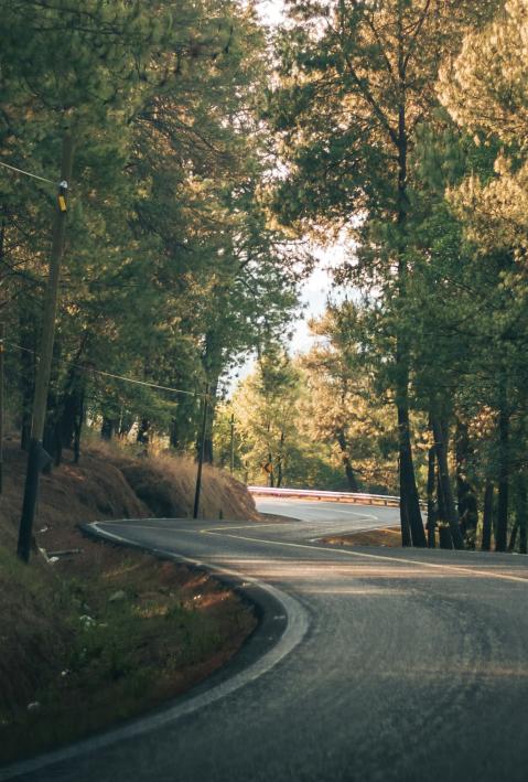 A road that leads through the forest. 