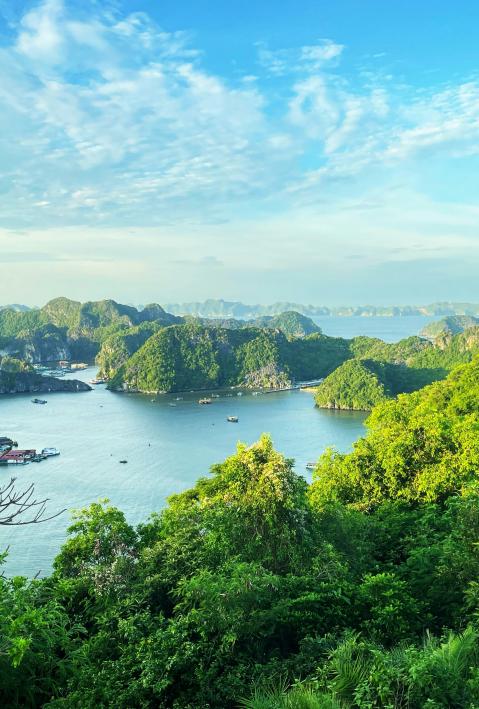 Blick auf ein von B&auml;umen umgebenes Gew&auml;sser in Vietnam, Lan Ha Bucht