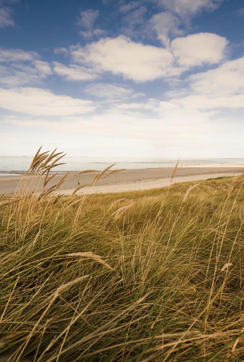 Uploads - Projekte - Bilder: iStock_000009471365_Large.jpg