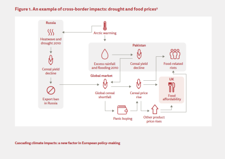 an infographic showing an example of cross-border impacts: drought and food prices