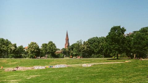 Gr&uuml;nfl&auml;che mit Kirchturm im Hintergrund. 