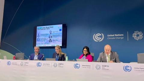 Dennis Tänzler at COP29