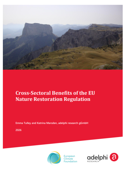 adelphi Publication "Cross-Sectoral Benefits of the EU Nature Restoration Regulation"