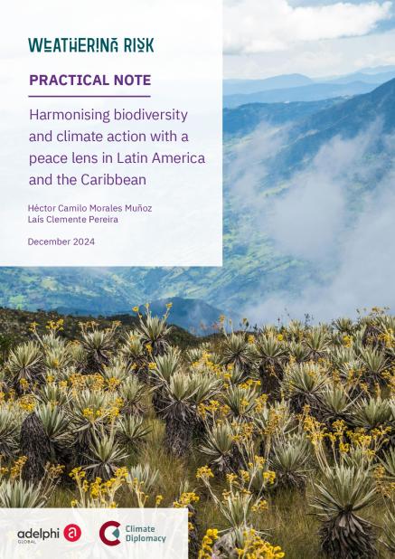 Harmonising biodiversity  and climate action with a  peace lens in Latin America  and the Caribbean