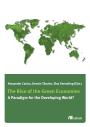 Towards a Green Economy in Emerging and Rapidly Growing Countries &ndash; The Way Forward after Rio+20