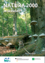 A wildcat sits in front of a tree in a beech forest