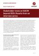 Stakeholder views on SAICM beyond 2020: Results from an interview series - adelphi