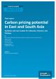 Cover der Publikation Carbon pricing potential in East and South Asia: Synthesis and case studies for Indonesia, Vietnam, and Pakistan