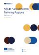 Cover of the publication Needs Assessment for Twinning Regions