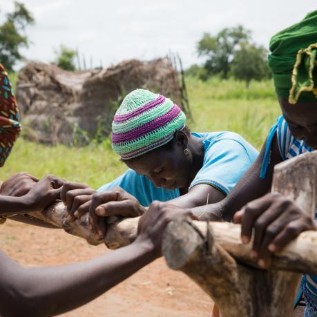 Biodiversity entrepreneurship