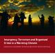 Insurgency, Terrorism and Organised Crime in a Warming Climate - Climate Diplomacy