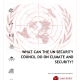 UNSC Options Paper Cover 