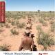 SEED Case Study Khuin Kwa Kalahari Experience