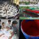 Environmental management in textile sector