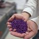 Textile waste recycling in Jordan