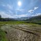 Paddy fields, Badulla District, Sri Lanka