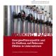Cover Energieeffizienzpolitik und ihr Einfluss auf Rebound-Effekte in Unternehmen