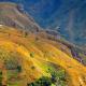 Haiti landscape